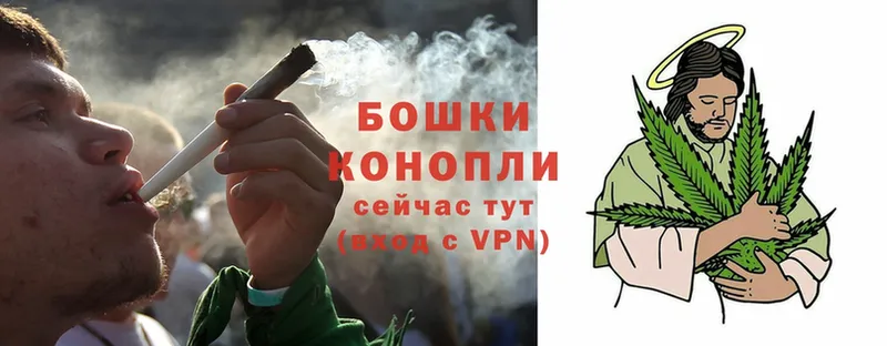 Канабис OG Kush  как найти закладки  Николаевск 